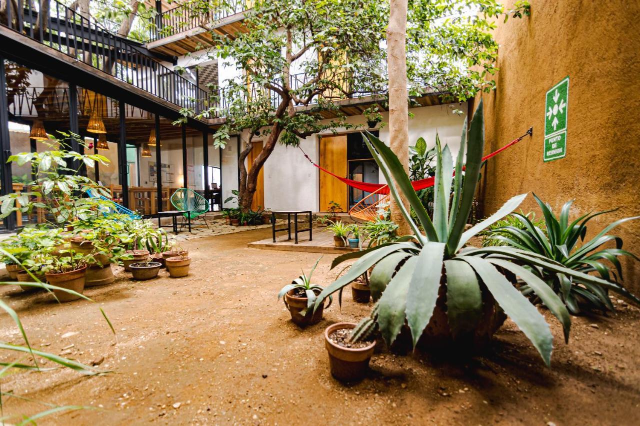 Hotel Con Corazon Oaxaca Экстерьер фото
