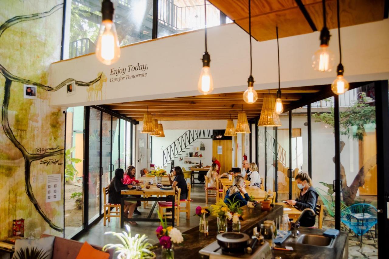 Hotel Con Corazon Oaxaca Экстерьер фото