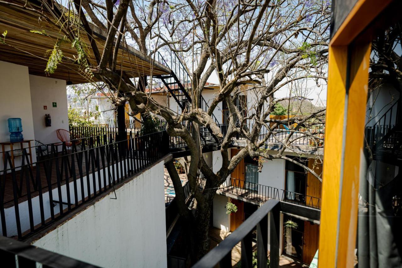 Hotel Con Corazon Oaxaca Экстерьер фото