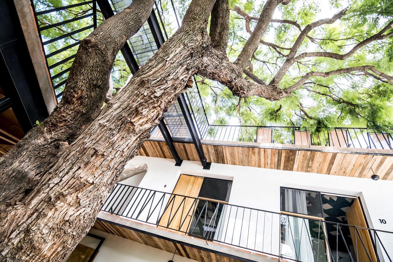 Hotel Con Corazon Oaxaca Экстерьер фото