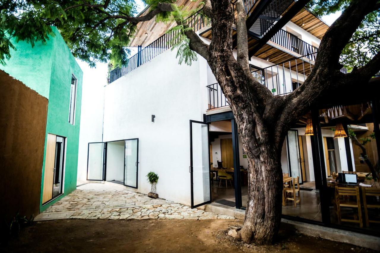 Hotel Con Corazon Oaxaca Экстерьер фото