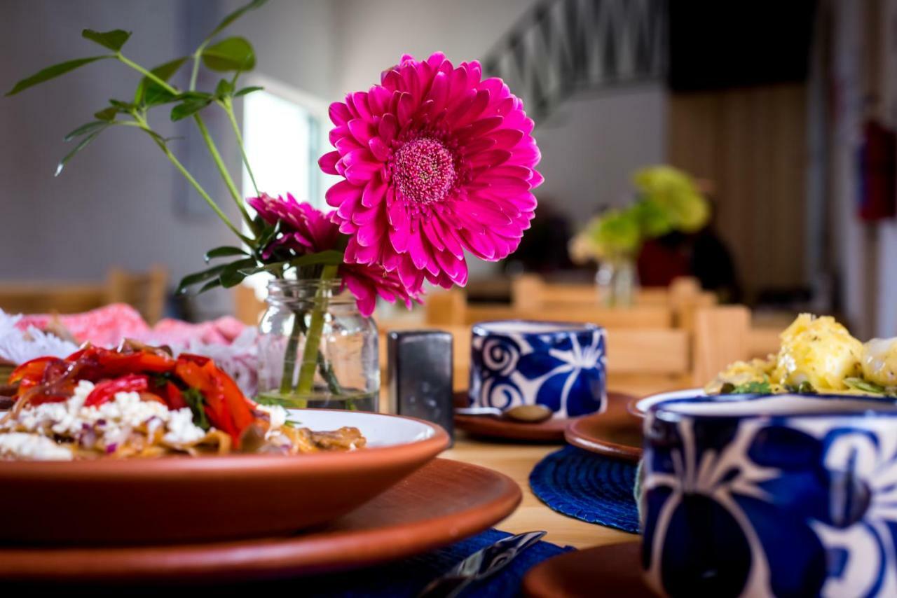 Hotel Con Corazon Oaxaca Экстерьер фото